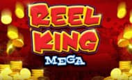 Reel King Mega
