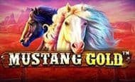 Mustang Gold